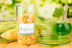 Hayes biofuel availability